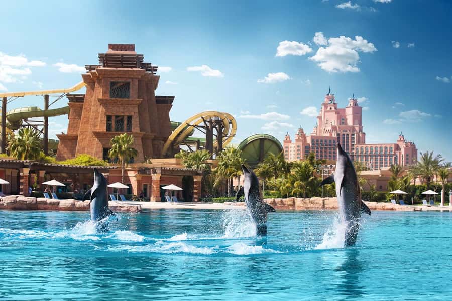 Dubai: Swim with Dolphins at Atlantis Waterpark - Aquaventure Waterpark after dolphins: how to use your same-day access well