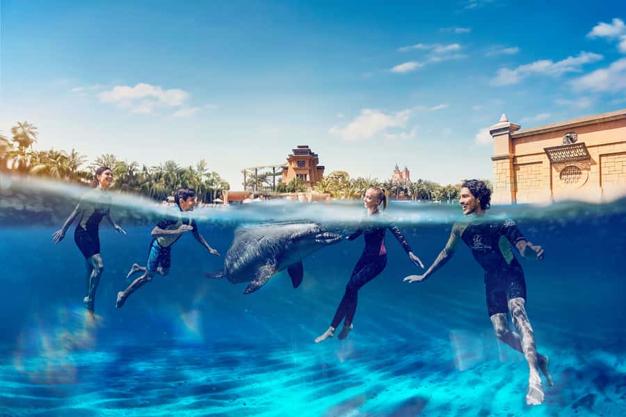 Dubai: Swim with Dolphins at Atlantis Waterpark - 3-meter deep water and a dolphin routine built for confident swimmers