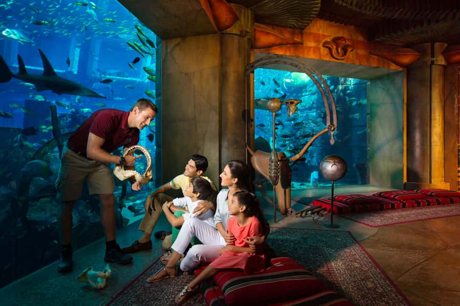 Dubai: The Lost Chambers Aquarium Atlantis Diving Experience - Ambassador Lagoon: Themed Ruins, Clear Water, and Real Marine Encounters