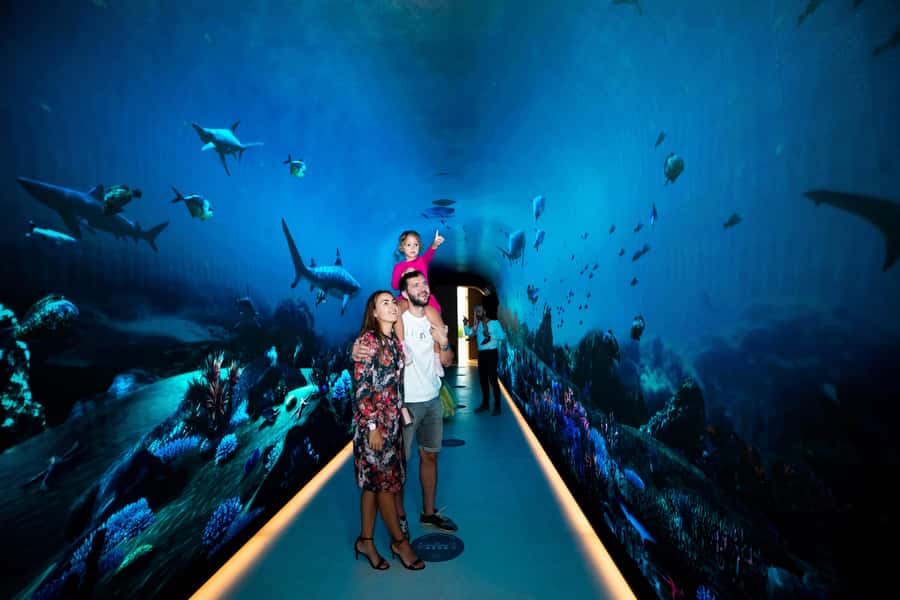 Dubai: The View At The Palm Observatory Entry Ticket - Level 54, the roof, and the VIP option worth considering