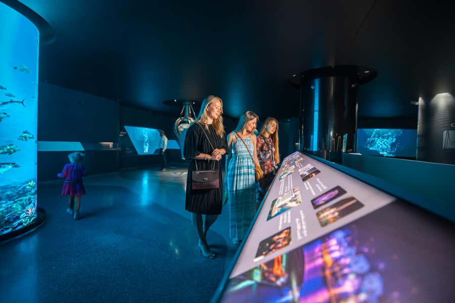 Dubai: The View At The Palm Observatory Entry Ticket - Price and value: is $29 really enough?