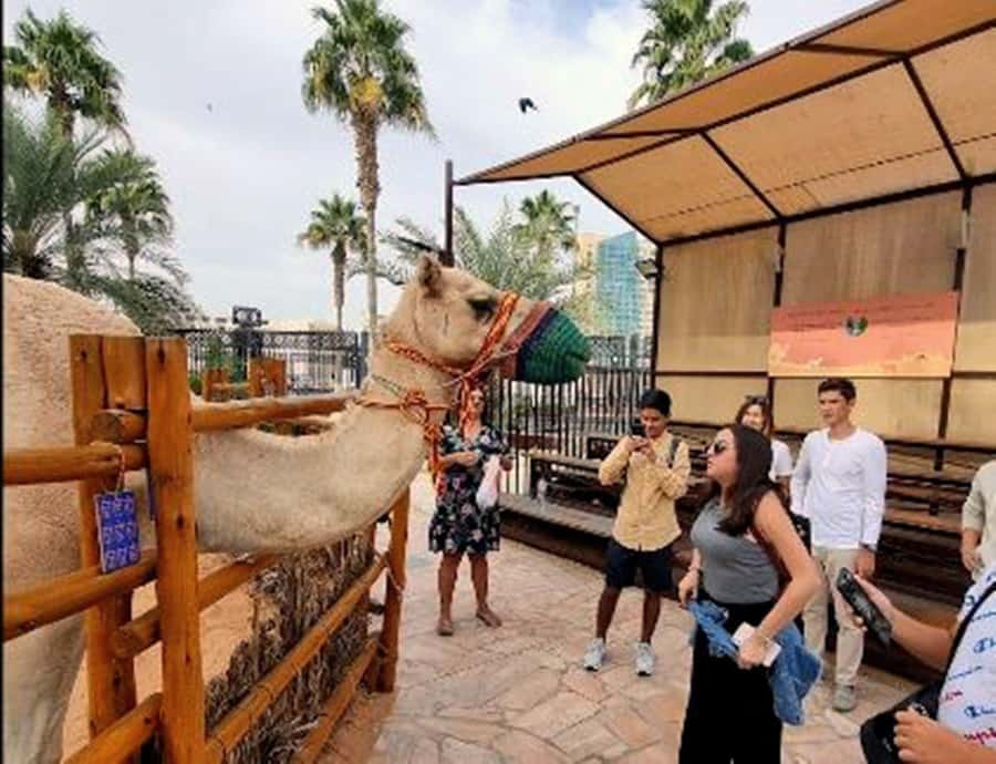 Dubai: Top Must-See Sights Tour with Burj Khalifa At The Top - Jumeirah Mosque, Burj Al Arab, and the luxury-photo loop