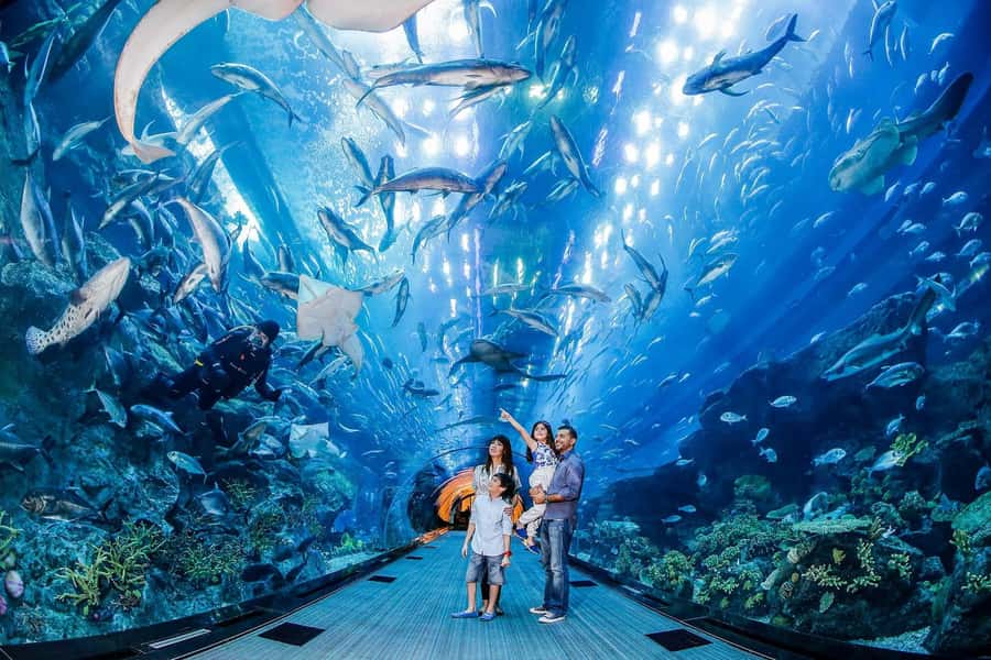 Dubai: Unlimited Attractions Pass - Price and value: when $449 makes sense in real life