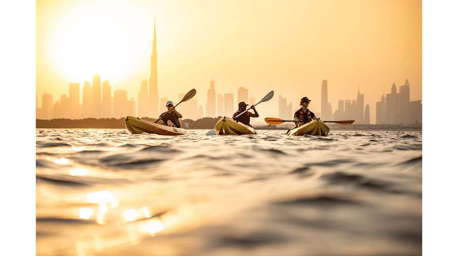 Dubai: Unlimited Attractions Pass - Aquariums and waterparks: your easiest win for a 3 to 5 day trip