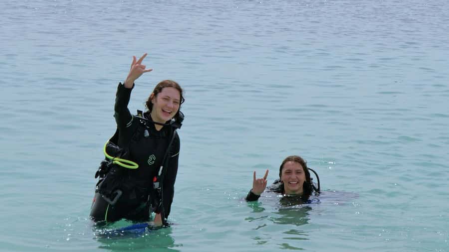 Dubai: VIP Private Scuba Dive with Free Hotel Transfer - Price and value: why $95 can actually make sense