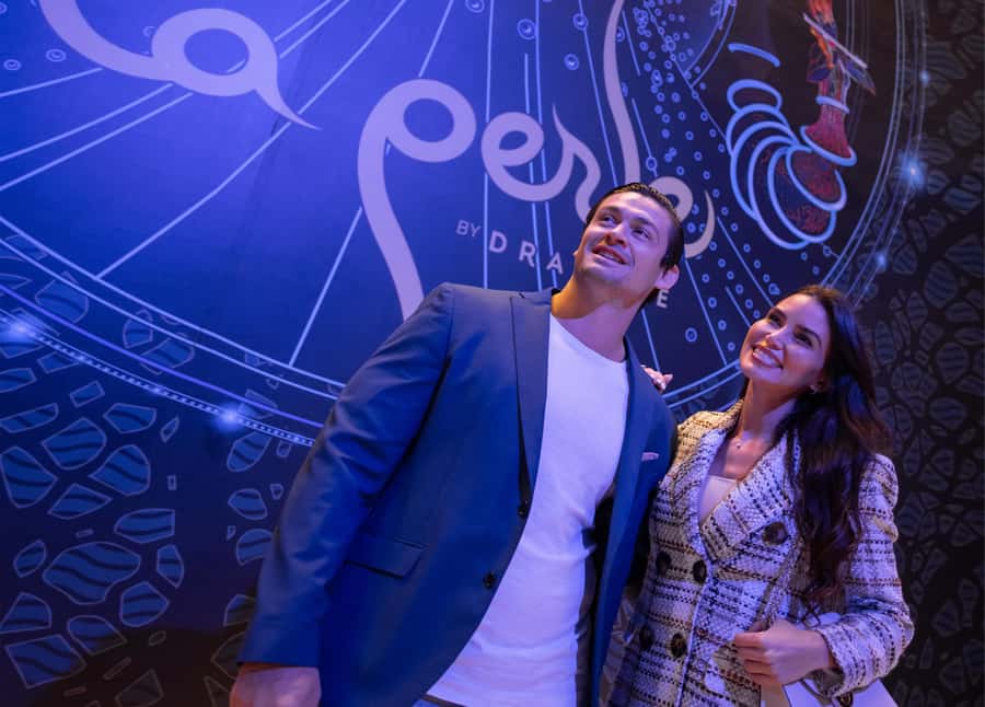 Dubai: Water Canal Cruise and La Perle Show with Dinner - Drinks and the 21 plus rule: what is included and what to budget