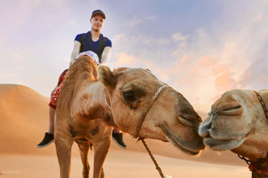Dubai Waves & Dunes: Luxury Yacht Cruise w/ Red Dunes Safari - Price and value: what $95 buys you in real terms