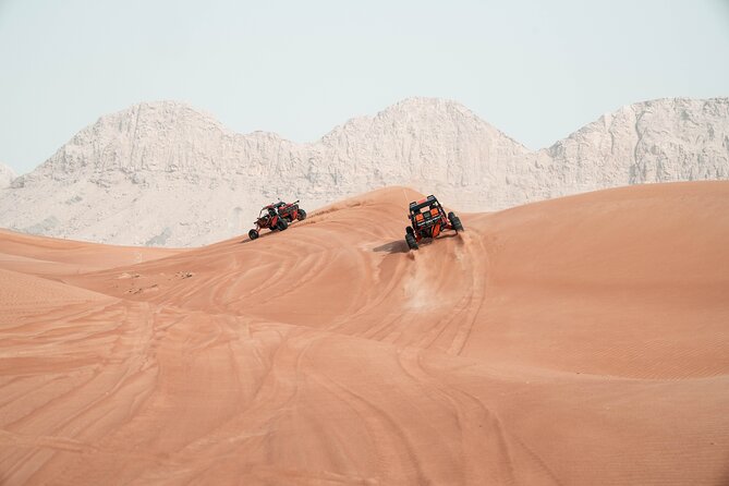 Dune Buggy Experience and Dinner at Mleiha Archaeological Center - Dinner at Mleiha Archaeological Center: the calm payoff