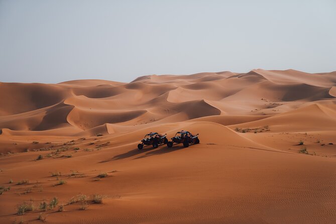 Dune Buggy Experience & Fossil Discovery in Mleiha National Park - Price and value: what $327 per group actually gets you