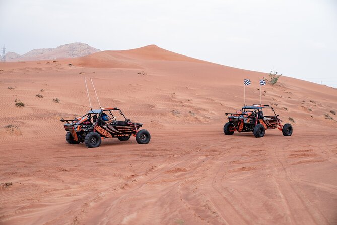Dune Buggy Experience & Fossil Discovery in Mleiha National Park - Comfort, cleanliness, and what the operator emphasizes
