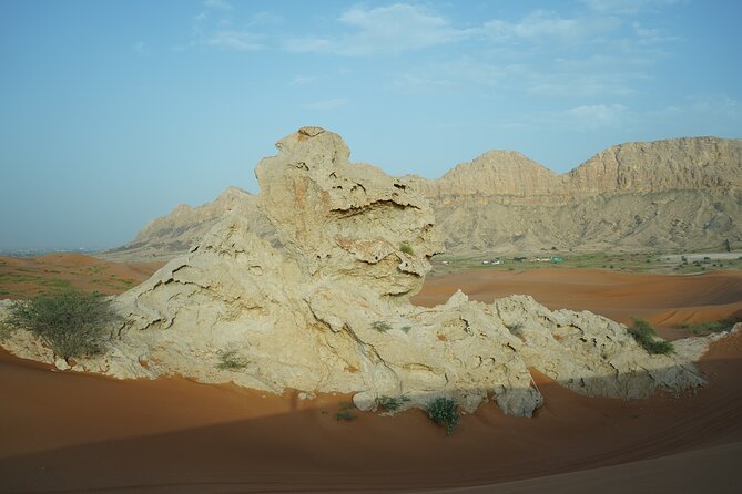 Dune Buggy & Private Dinner in the Dunes in Mleiha National Park - How long it takes, and why 5 hours feels about right