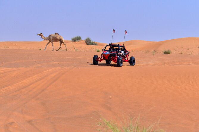 Dune Buggy Ride with Private BBQ Dinner in the Desert - Sand boarding, dune bashing, camel ride, and sunset views