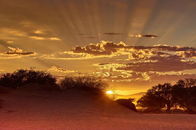 Early Morning Desert Safari With Camel Trekking Experience - Key highlights to know before you go