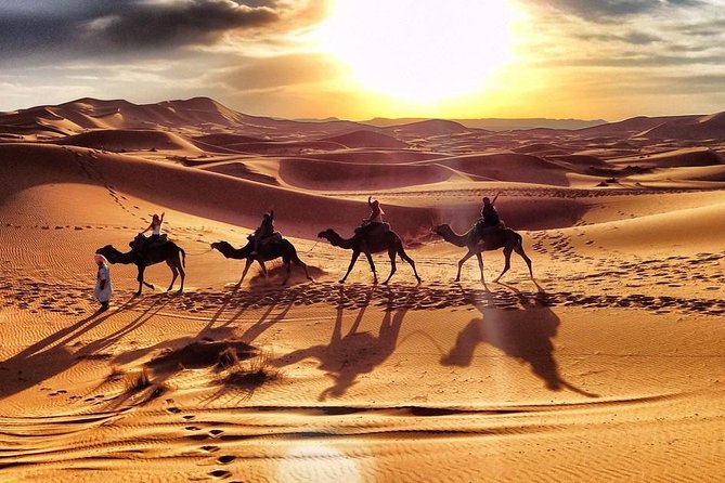 Early Morning Desert Safari With Camel Trekking Experience - Pickup and drop-off around Dubai: the convenience factor