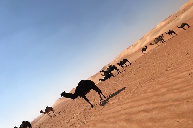 Empty Quarter Sunset Desert Safari - Key Takeaways Before You Go