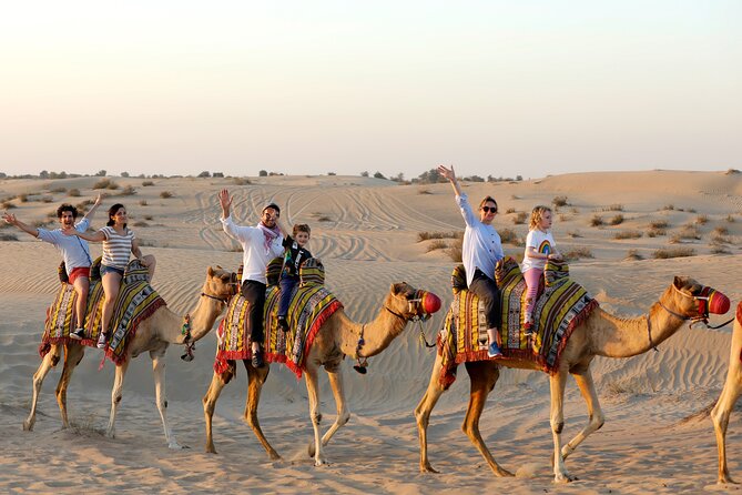 Evening Camel Caravan, Bedouin Dinner with Al Marmoom Oasis - Camel caravan time: 45 minutes that feel like the main event