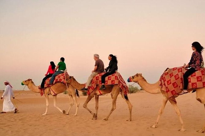 Evening Desert Adventure: Quad Biking, Sandboarding & Camel Ride - Getting Picked Up In Dubai: The Real Comfort Factor