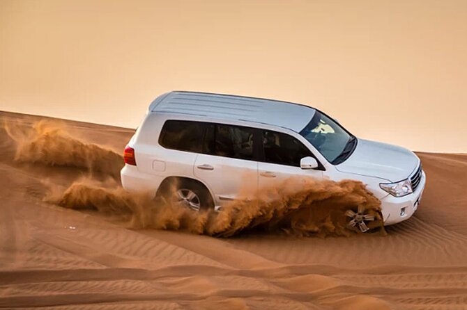 Evening Desert Safari Abu Dhabi with Hot BBQ Dinner - Key reasons this safari is worth your attention