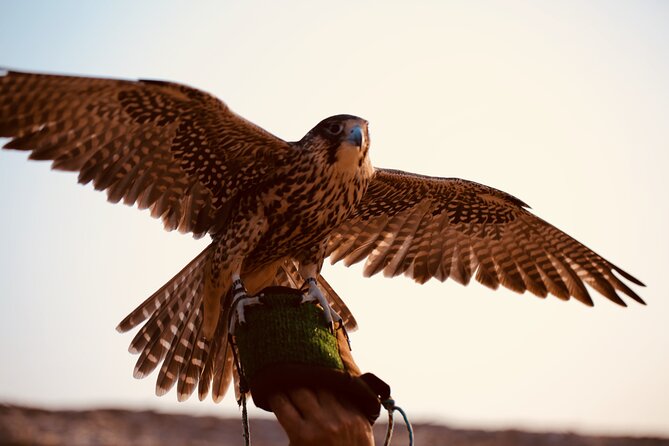 Evening Desert Safari Abu Dhabi with Hot BBQ Dinner - Arabic costume photos, henna tattoo, and falcon photos: cultural add-ons with a photo focus