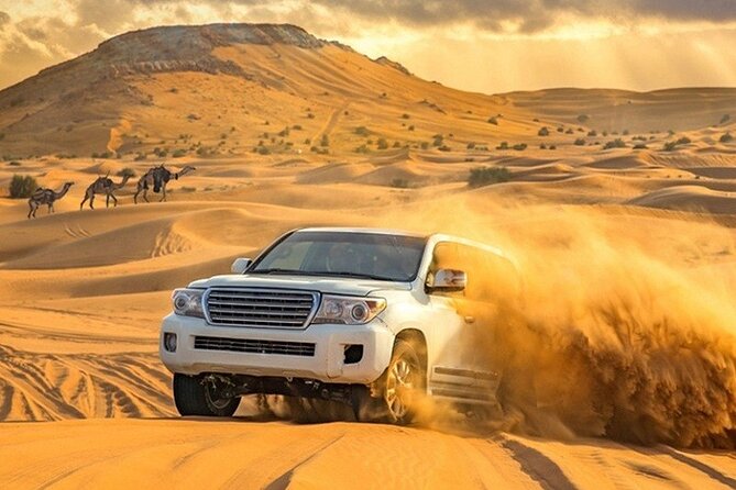 Evening Desert Safari Adventure in Dubai - What the 6-Hour Timeline Feels Like, Hour by Hour