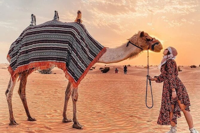 Evening Desert Safari & BBQ With Live Shows,Camel Ride,Falcon pic - The BBQ dinner and the show lineup: belly dance, Tanoura, fire