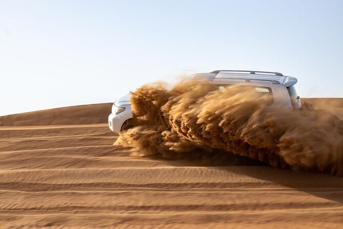 Evening Desert Safari & BBQ With Live Shows,Camel Ride,Falcon pic - Price and logistics: what makes it feel like a deal
