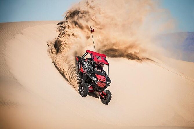 Evening Desert Safari Camel Ride Live Shows Shisha Dinner - Live shows: belly dance, Tanura dance, and fire