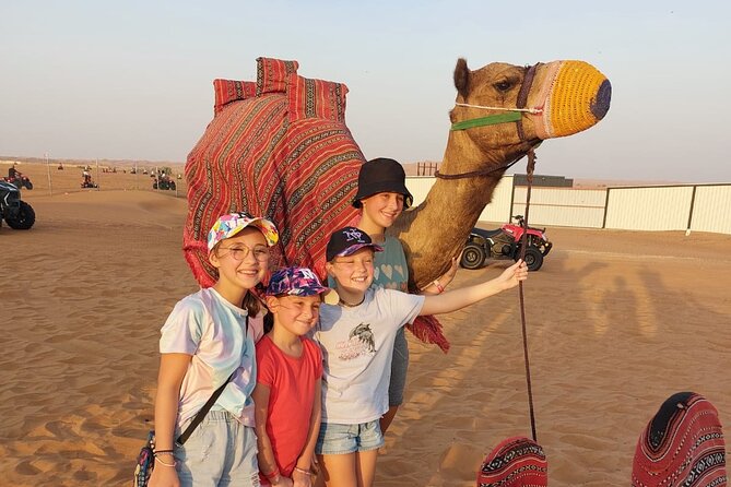 Evening Desert Safari Camel Ride Live Shows Shisha Dinner - Who should book this safari, and who might skip it