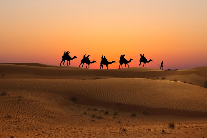 Evening Desert Safari in Dubai, Sandboard & BBQ Dinner - Should You Book This Evening Desert Safari?