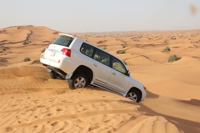 Evening Desert Safari Tour With Dinner & Entertainment - From Hotel Pickup to Lahbab Red Sands: What Sets the Tone