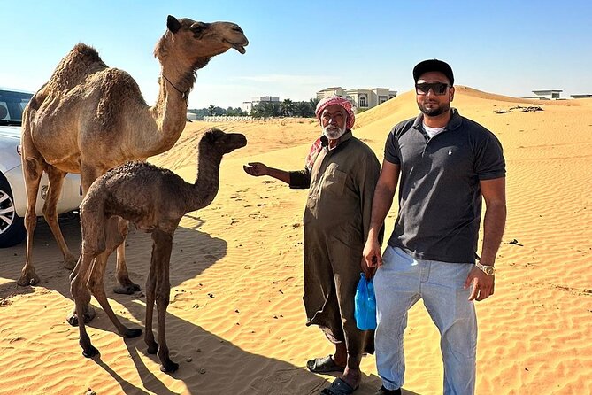 Evening Desert Safari Tours - Price and value: what $54.10 buys you, and where extras appear