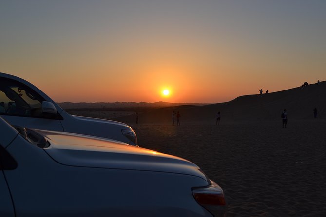 Evening Desert Safari Tours - The guide factor: why names like Mohammad, Sam, and Ali keep showing up