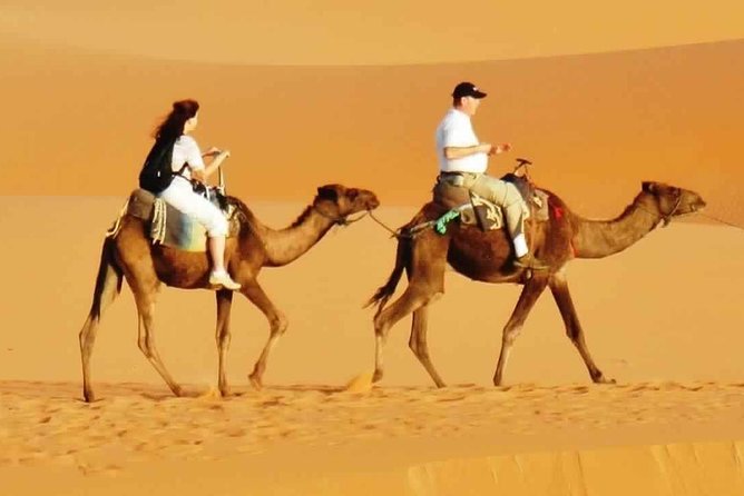 Evening Desert Safari with BBQ Dinner & 7 Live Show's - How the Evening Safari Flows From Pickup to Back to Dubai