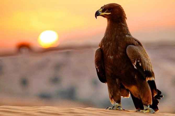 Evening Red Dunes Desert Safari: BBQ Dinner & Adventure Awaits! - Camel Ride, Henna, and Shisha at the Al Awir Camp