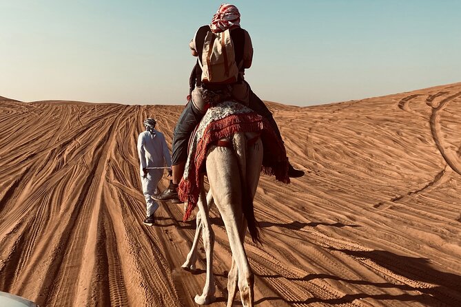 Exclusive Evening Desert Safari - Key Highlights You Will Feel Immediately