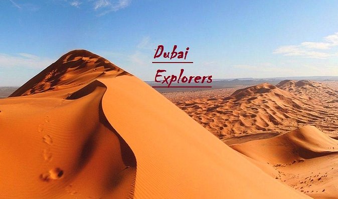 Exclusive Private Morning Desert Safari Adventure in Dubai - Who This Exclusive Morning Safari Fits Best