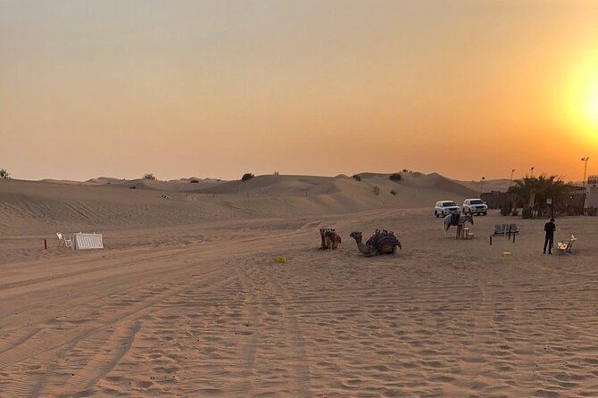 Exhilarating Desert Safari, Including BBQ Dinner from Dubai - Price and Value at About $49: What You Actually Get
