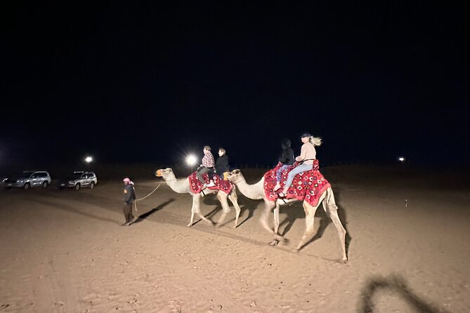Experience the Ultimate Dubai Red Dunes Desert Safari BBQ Dinner - Who should book this Dubai Red Dunes BBQ Safari