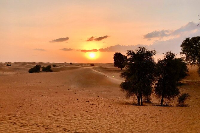 Falcon 1—Private Dubai Falconry Safari - Why this Falconry Safari Starts Before the Sun