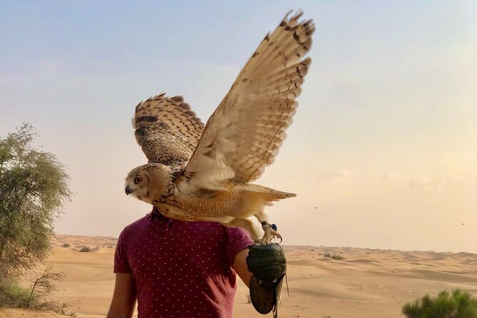 Falcon 1—Private Dubai Falconry Safari - Private Guide Attention (Max 4 People) and Photo Moments