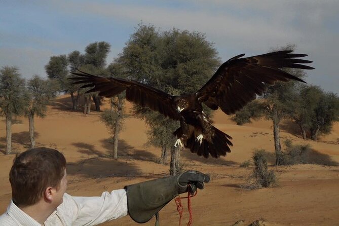 Falcon 1—Private Dubai Falconry Safari - Optional Breakfast at Al Maha Desert Resort
