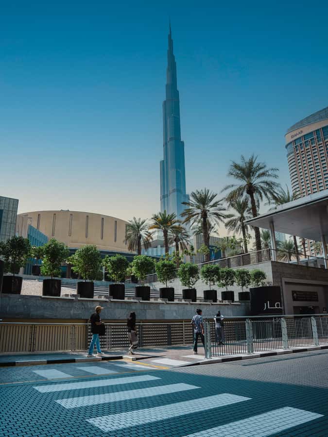 From Abu Dhabi: Dubai Full-Day Sightseeing Tour - Museum of the Future, Dubai Frame, and the Modern Skyline Drive-By
