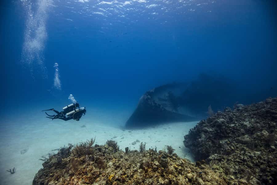 From Dubai: 2 Dives for Certified Divers with BBQ & Transfer - Key highlights you should know