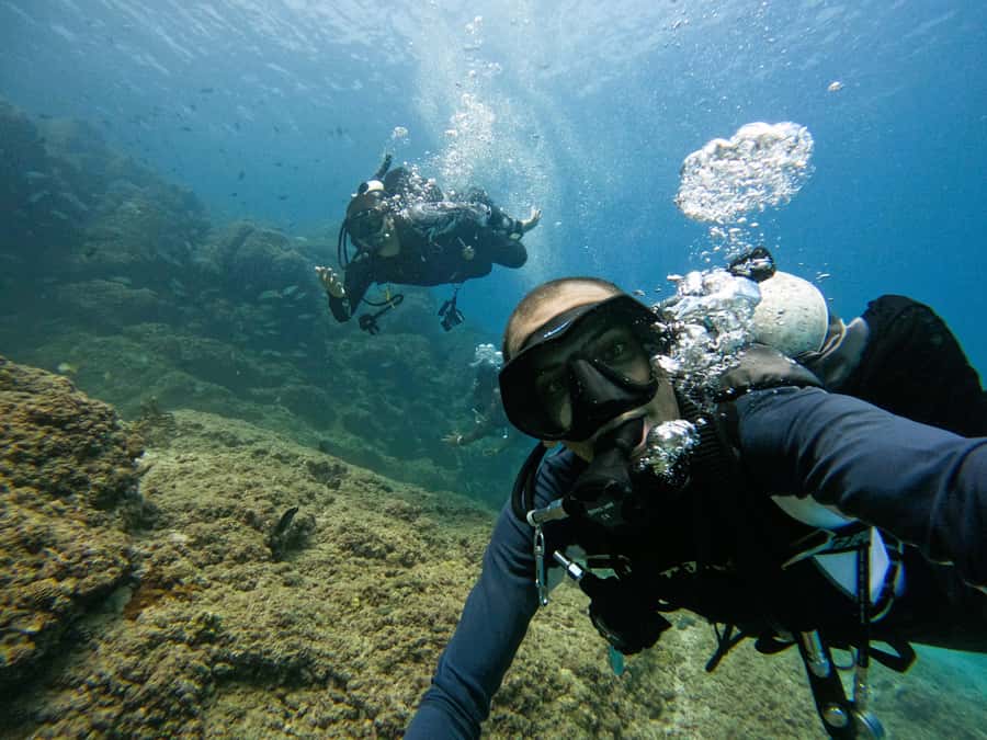From Dubai: 2 Dives for Certified Divers with BBQ & Transfer - Languages and guiding style: you are not stuck guessing