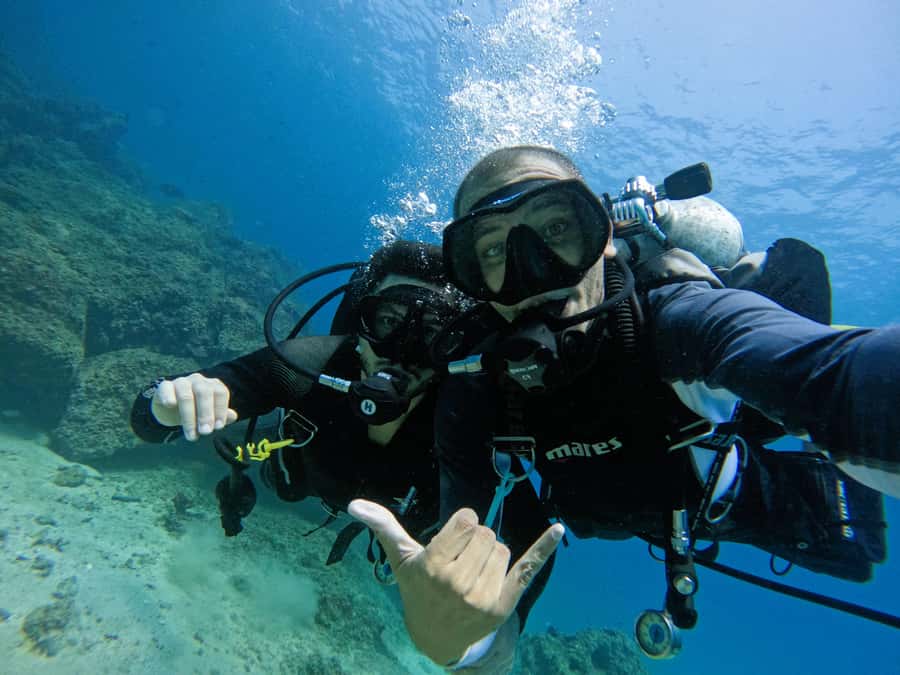 From Dubai: 2 Dives for Certified Divers with BBQ & Transfer - Price and value: is $160 fair for two sessions plus transfer?