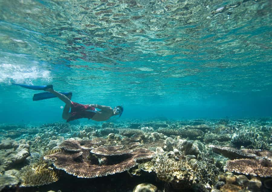 From Dubai: Discovery Scuba Diving & Snorkeling In Fujairah - Fujairah’s Gulf of Oman setup, and why 10 meters is smart