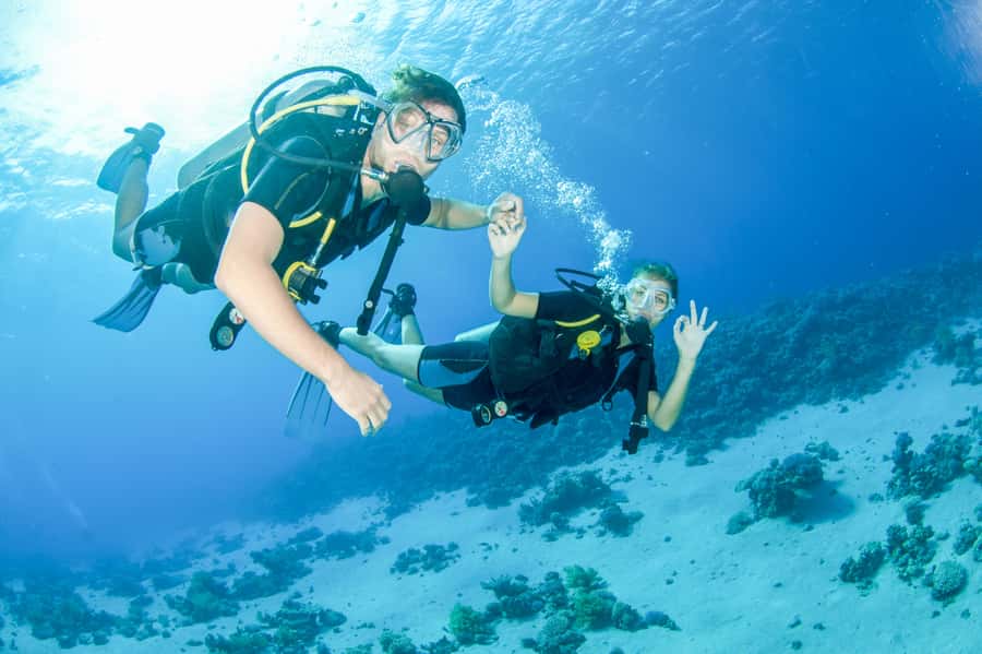 From Dubai: Discovery Scuba Diving & Snorkeling In Fujairah - The instructor-led scuba starter session: equipment, comfort, and safety checks