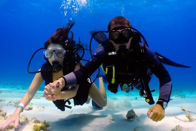 From Dubai: Discovery Scuba Diving & Snorkeling trip in Fujairah - Snorkeling Time: A Great Backup Plan If You’re Still Warming Up