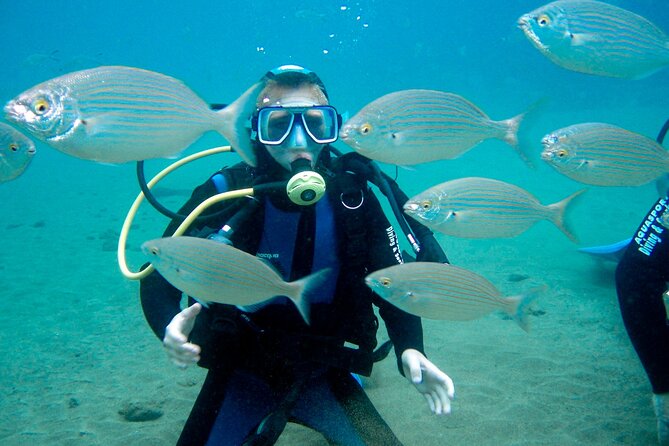 From Dubai: Discovery Scuba Diving & Snorkeling trip in Fujairah - Price and Value: What $155 Really Buys You