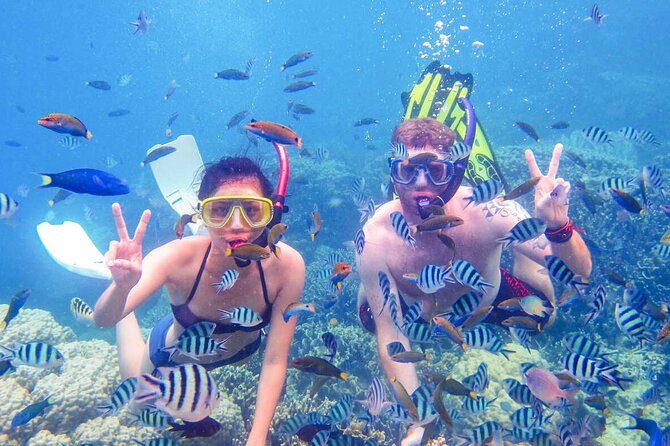 From Dubai: Discovery Scuba Diving & Snorkeling trip in Fujairah - First Underwater Session off Dibba Al-Fujairah: Depth, Time, and Calm Control